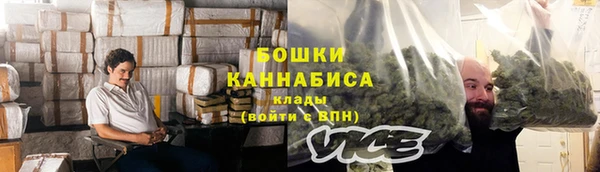 Альфа ПВП Верея