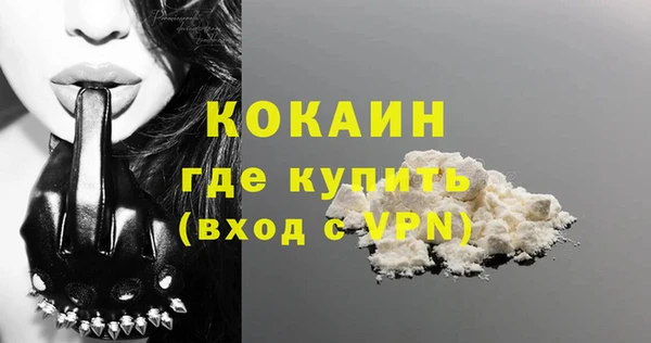 Альфа ПВП Верея