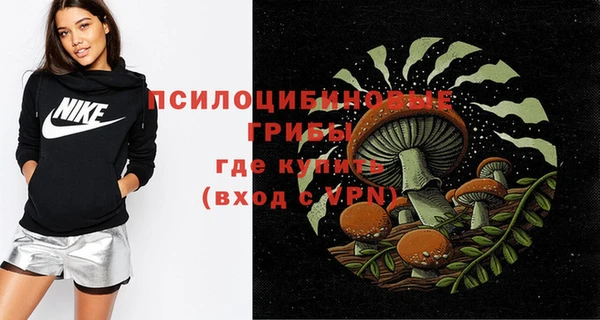 мдпв Верхний Тагил