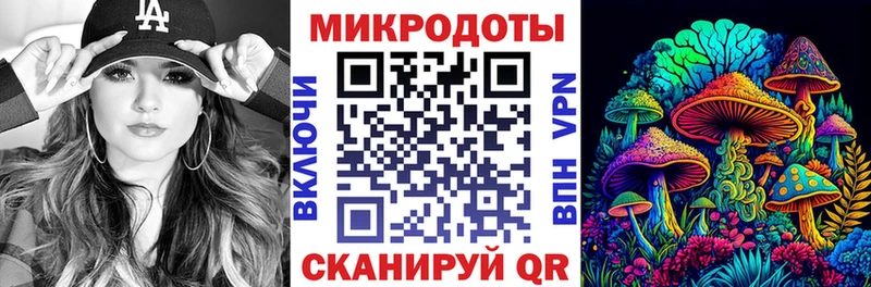 Галлюциногенные грибы Psilocybe  Муром 